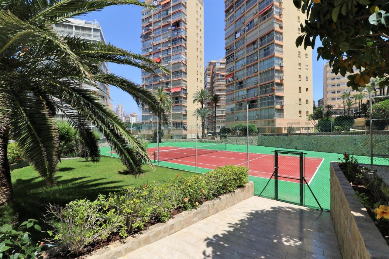 Don Miguel 2-a Levante