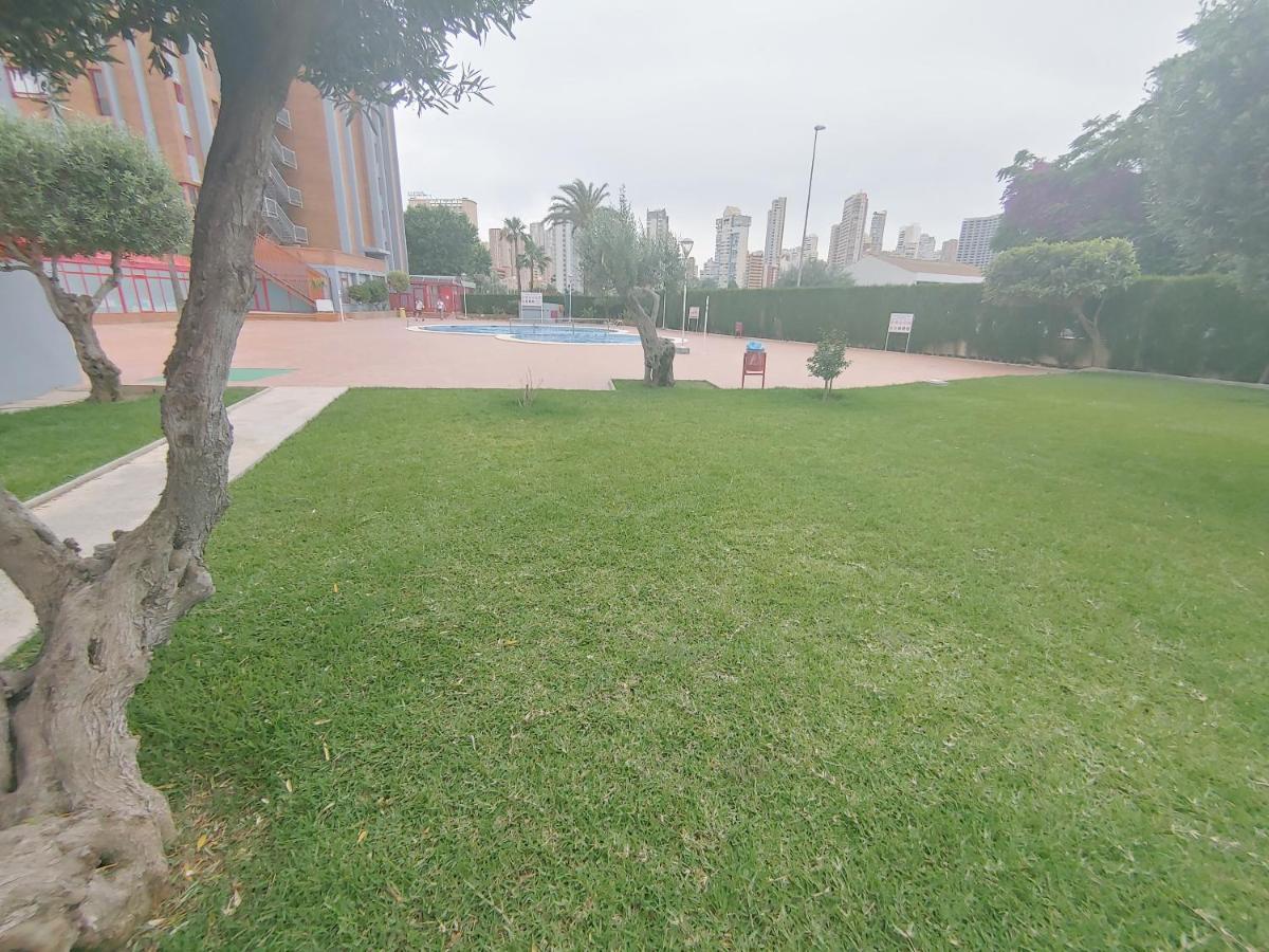 Apartament For Rent - Evamar Appartement