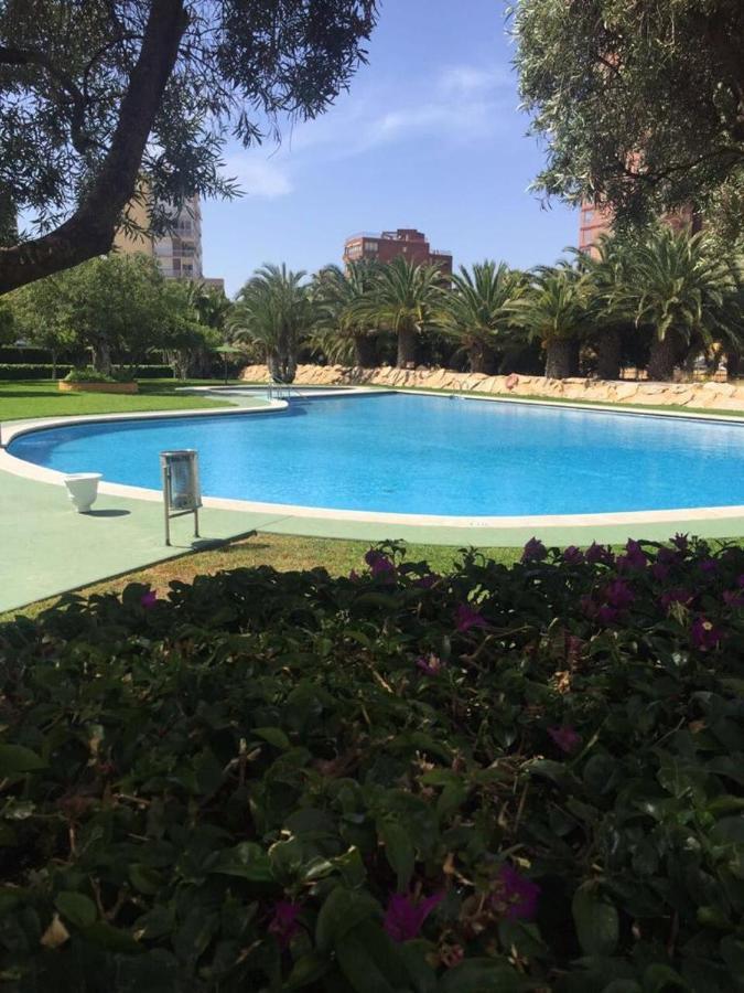 Calasol Apartamento Benidorm