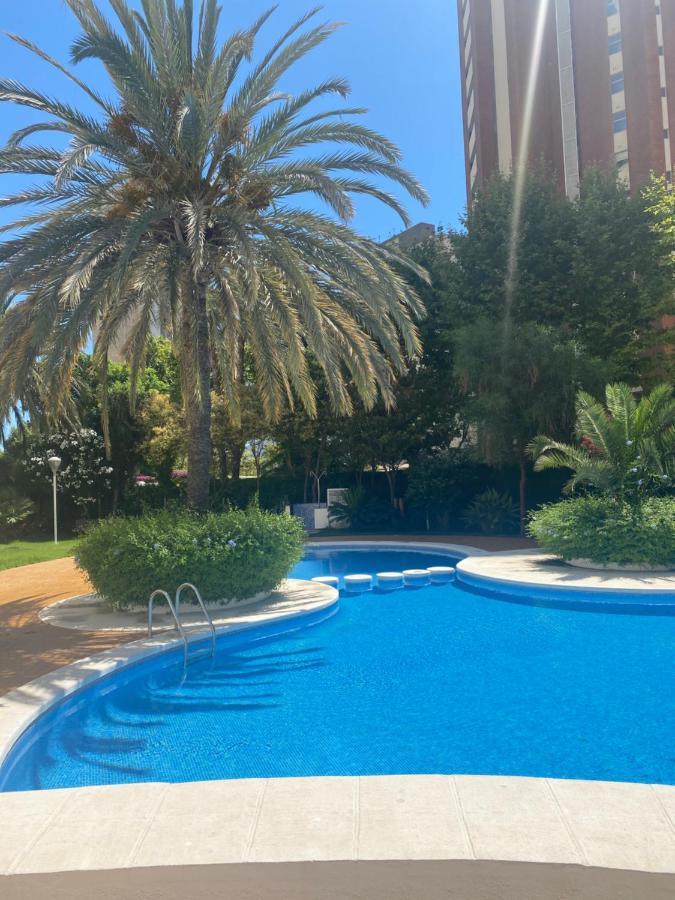 Coffee En Parque Europa Benidorm