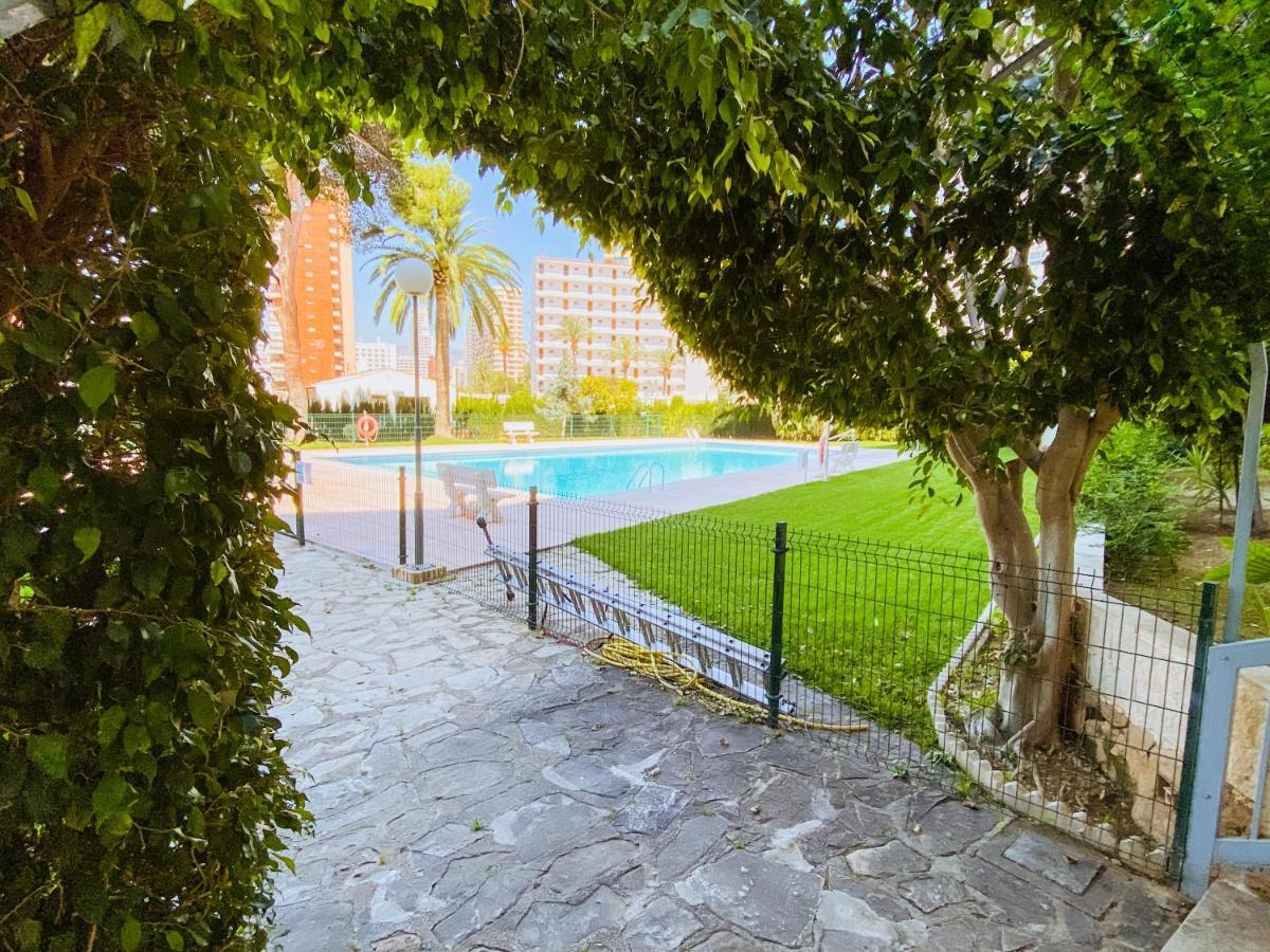 Zafiro Benidorm
