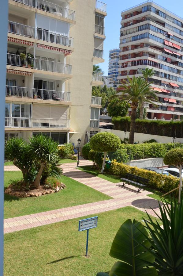 El Pato Primera Linea * Benidorm