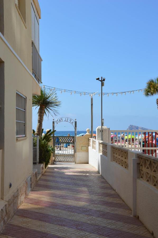 El Pato Primera Linea Benidorm