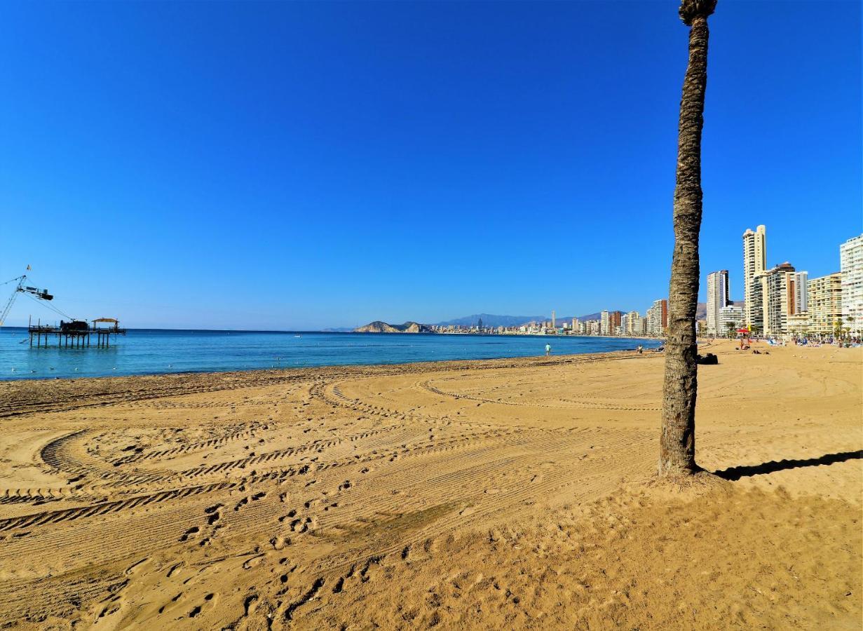 Tropic Mar Seaview 20-a