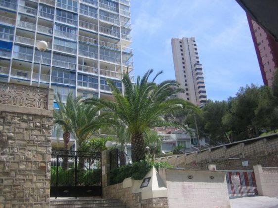 Rita Apartment