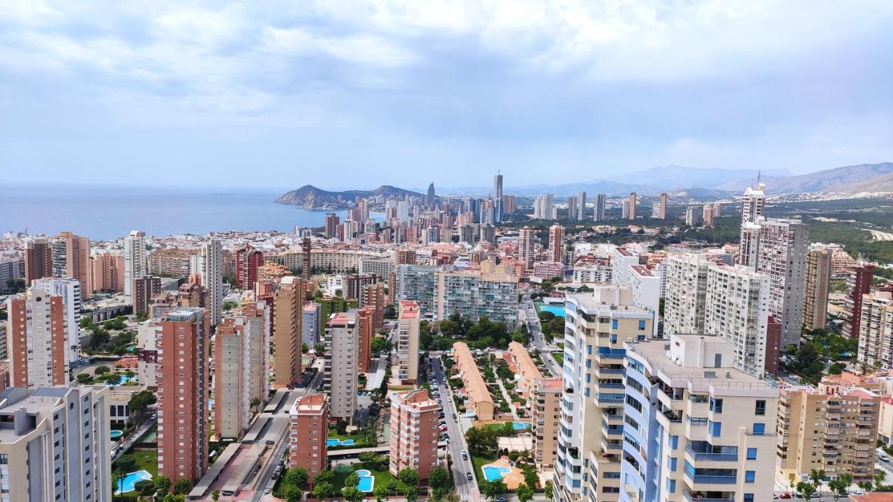 The - Planta 32 *
