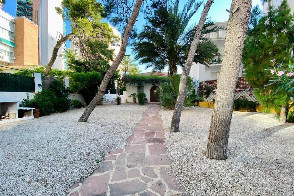 Apartamento Casa Voramar: Mirador Al Mediterraneo Benidorm