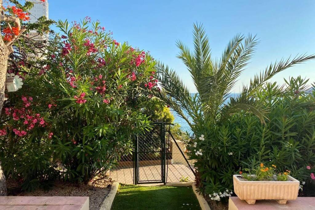 Casa Voramar: Mirador Al Mediterraneo Benidorm