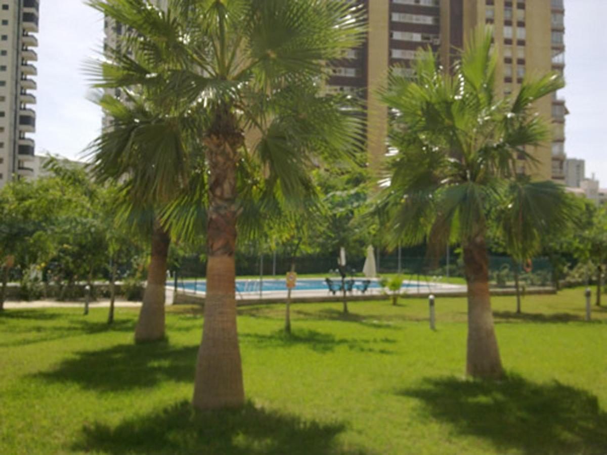 Apartment Solo Familias Torresol