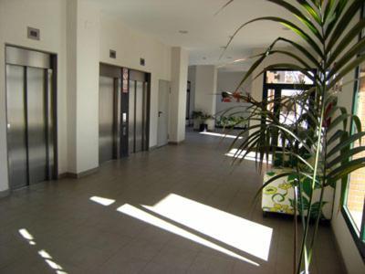 Solo Familias Torresol Apartment Benidorm