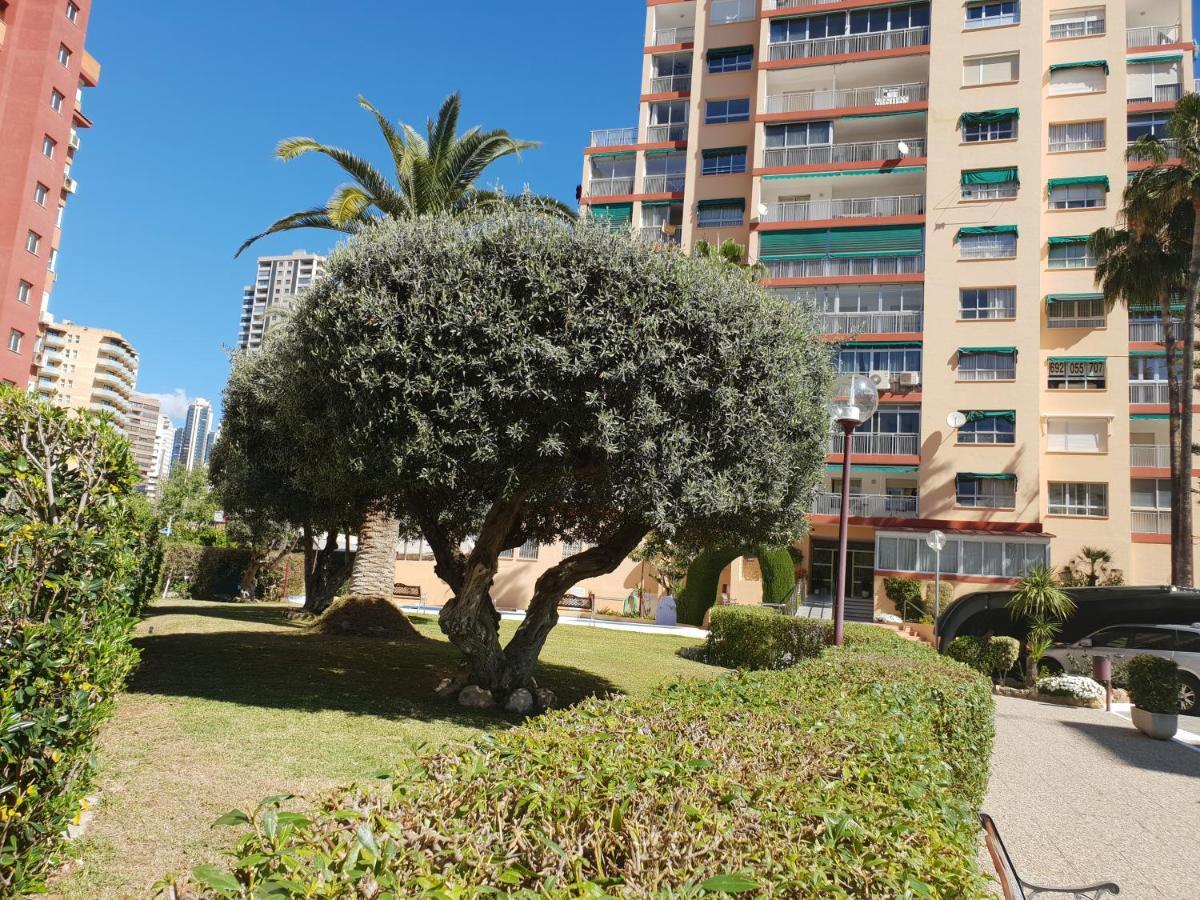 En El Cielo De - Alteanos V Apartamento Benidorm
