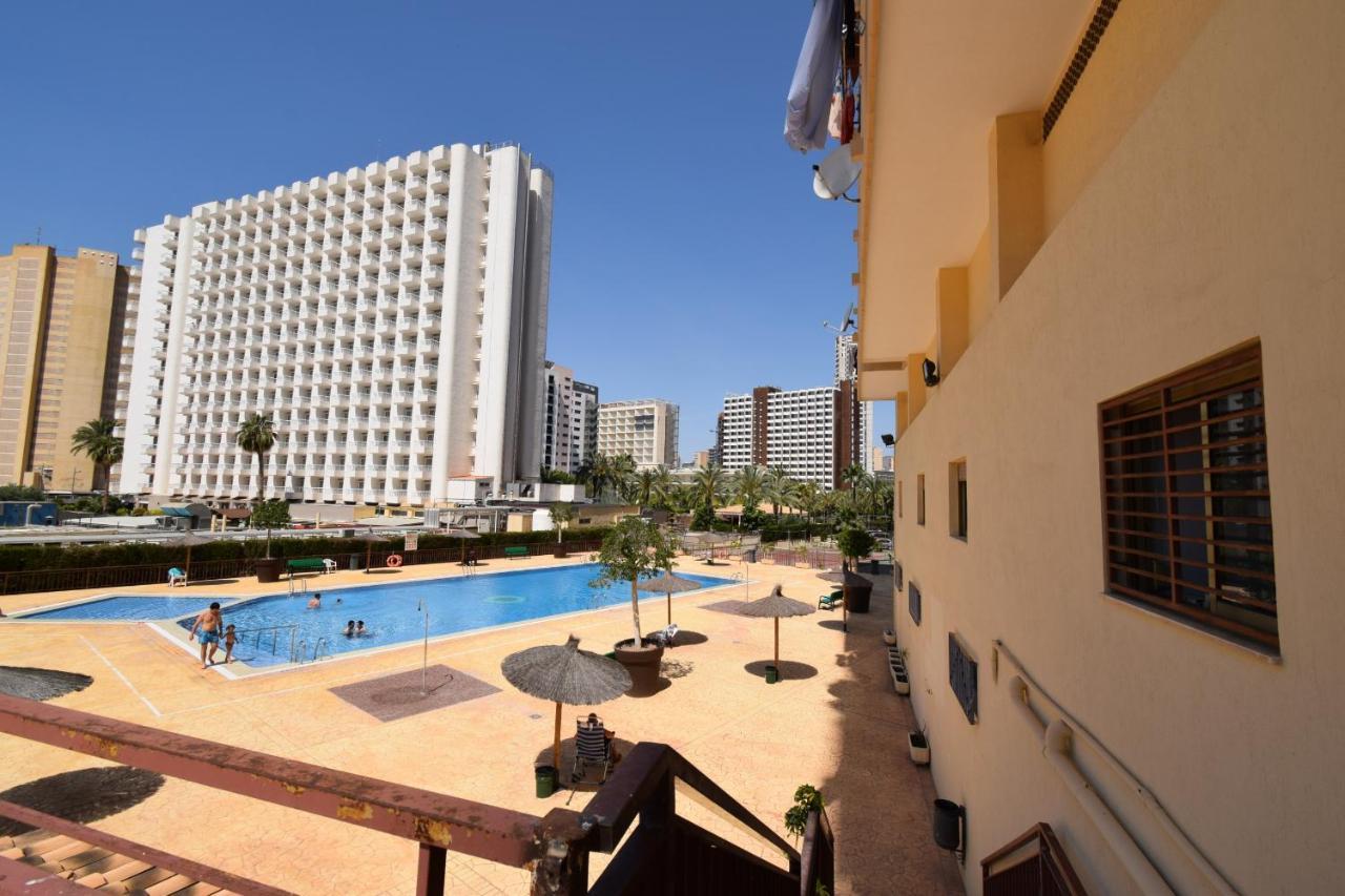 Acuarium 3 - Arena * Benidorm