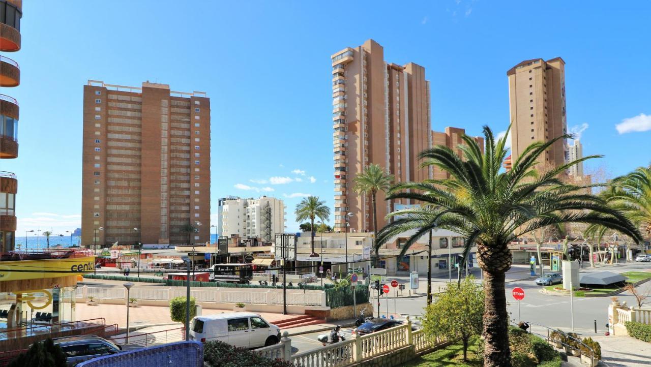 Seimar 1-8 Levante