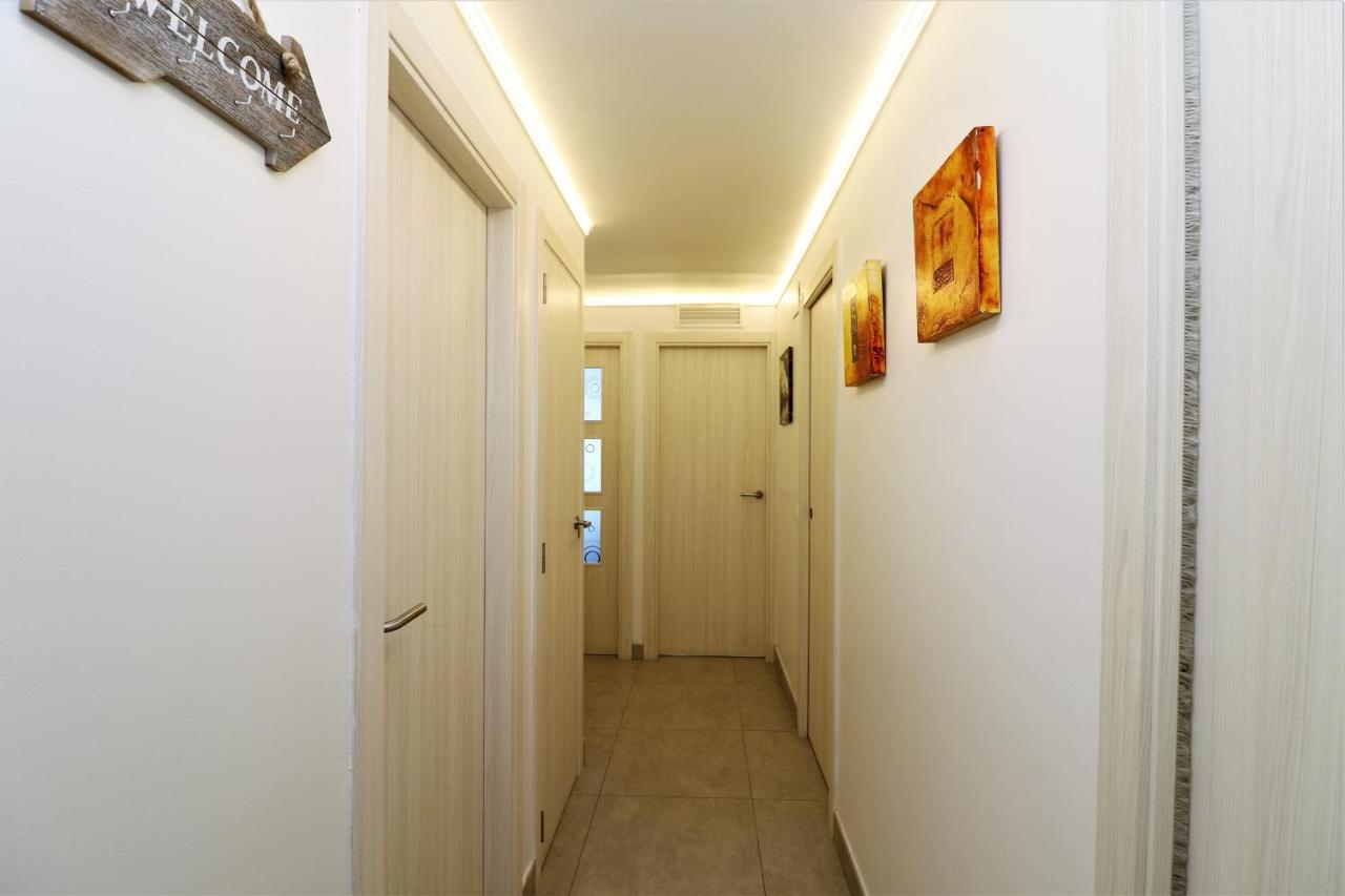 Seimar 1-8 *