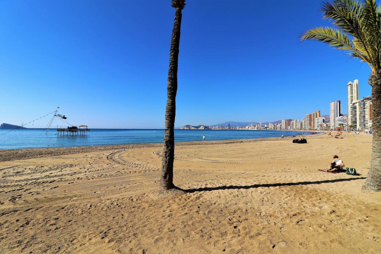Seimar 1-8 Levante *