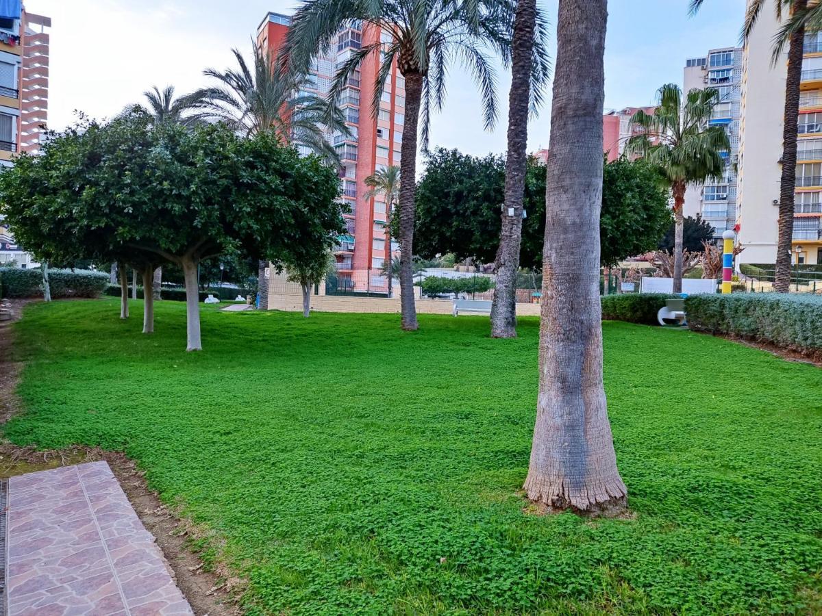 Apartamento Piso Calleja Benidorm