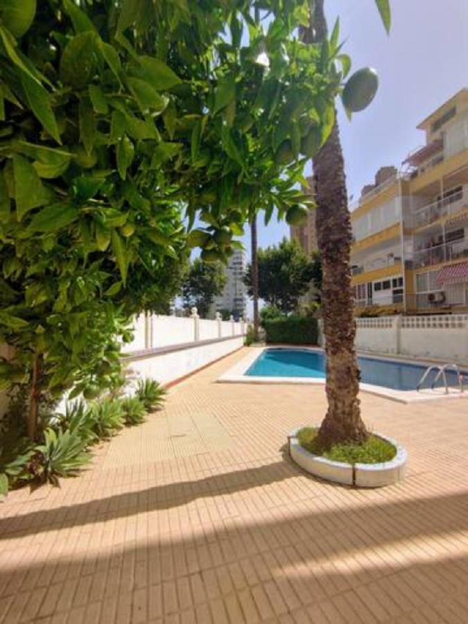 Rocas One, Un Oasis A 100 Metros Del Mar *
