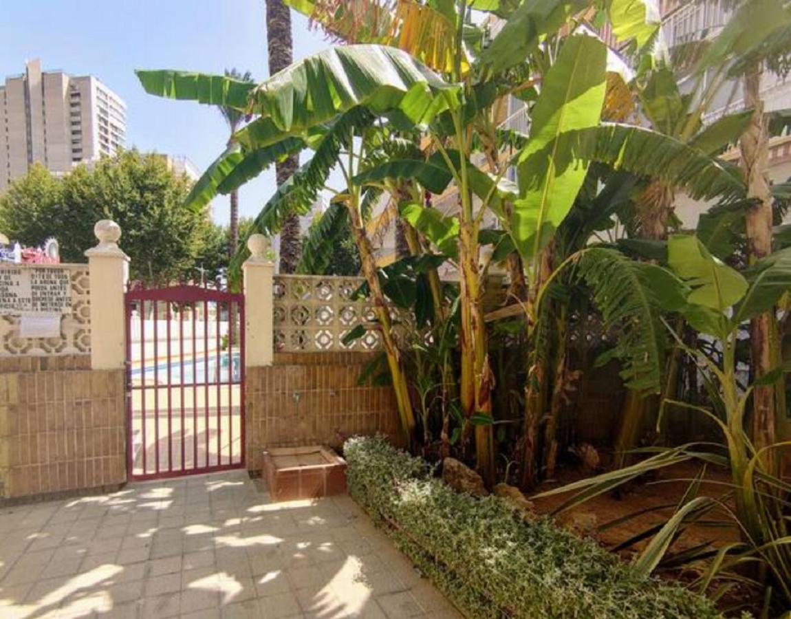 Rocas One, Un Oasis A 100 Metros Del Mar Apartment