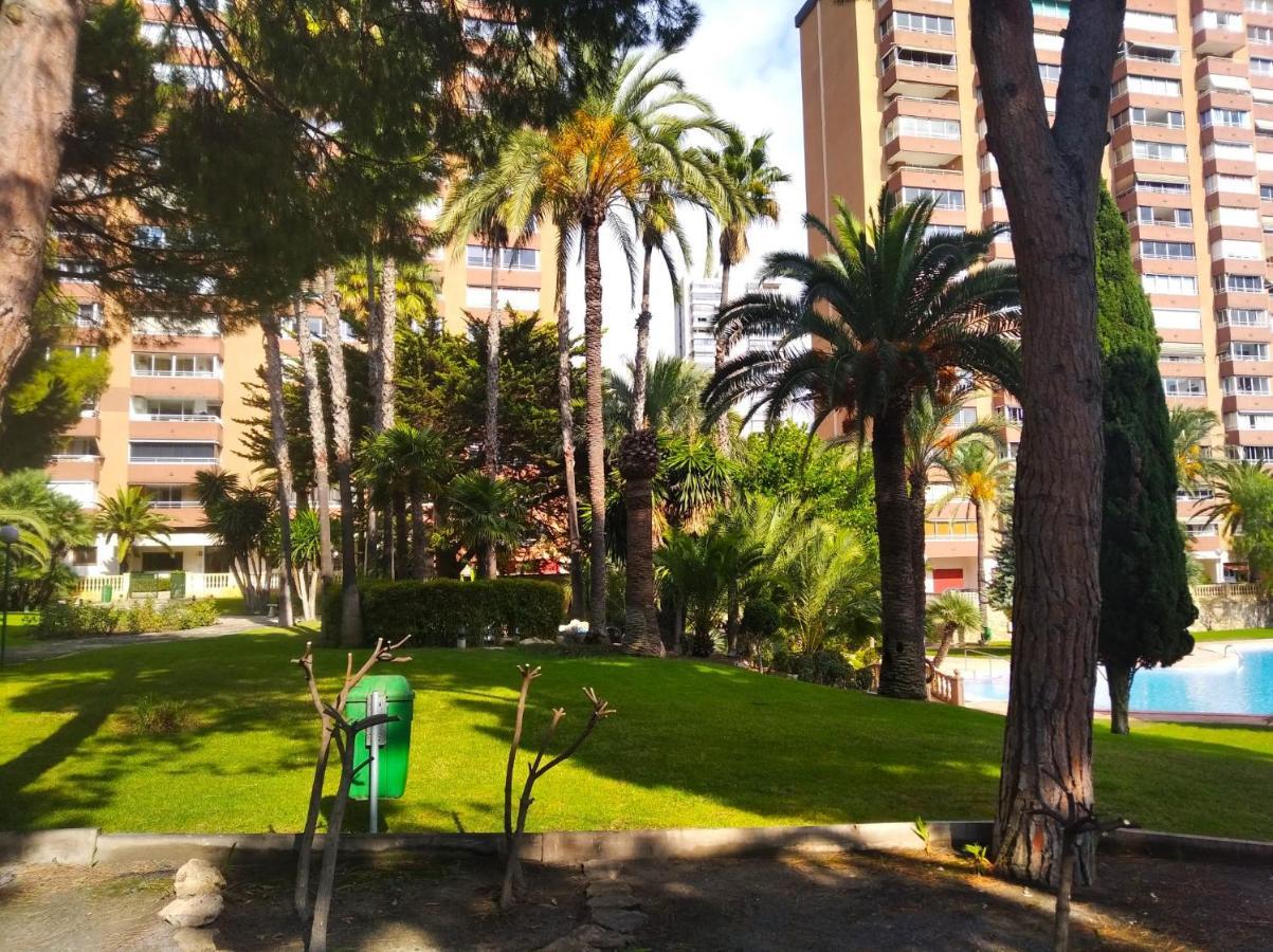 Apartment Coblanca 21