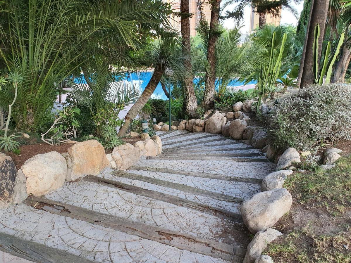 Apartment Coblanca 21 Benidorm