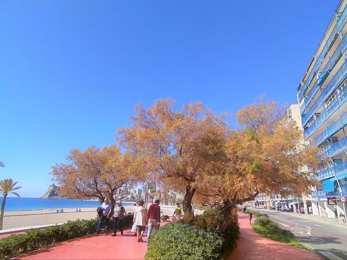 Velazquez By Interhome Benidorm