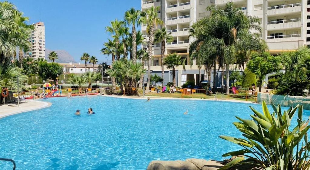 Vacaciones En Gemelos 22 Benidorm