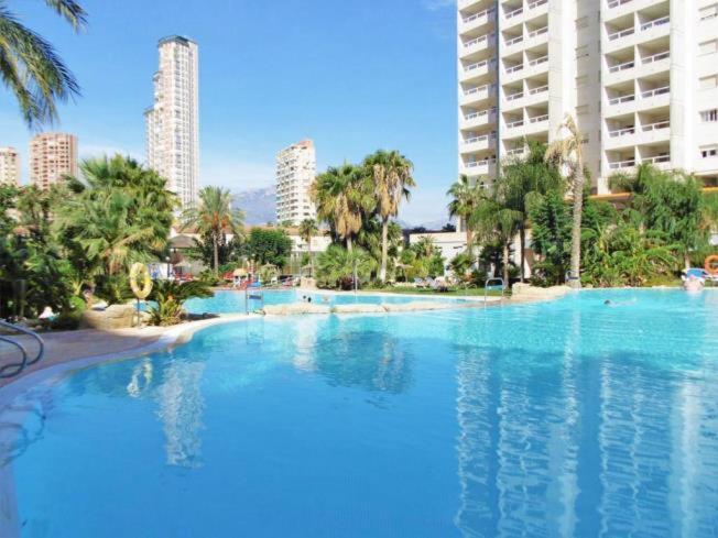 Vacaciones En Gemelos 22 Benidorm