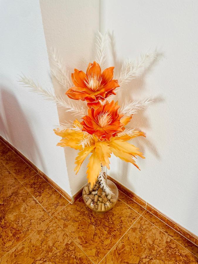 Alameda I Appartement *