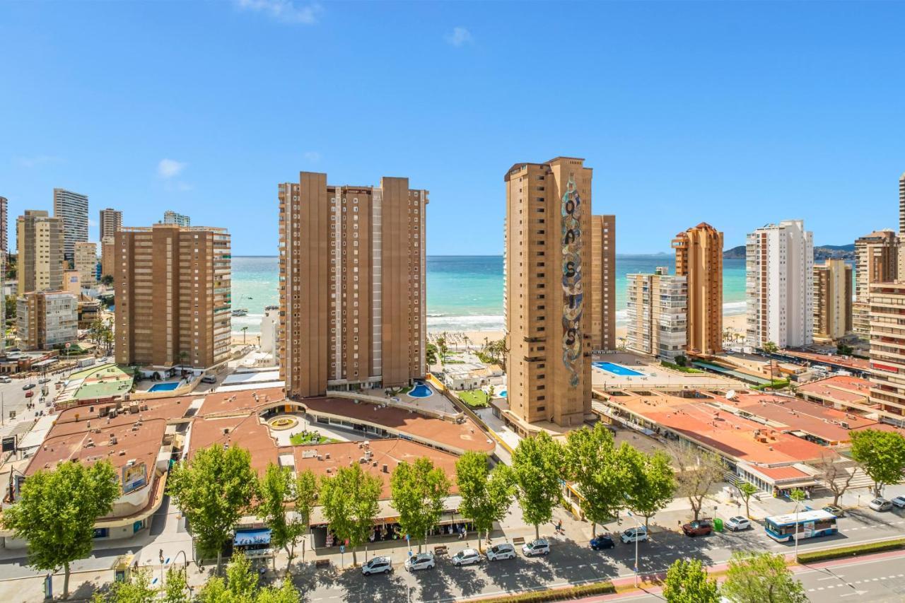 Albatros 18-8 Appartement *