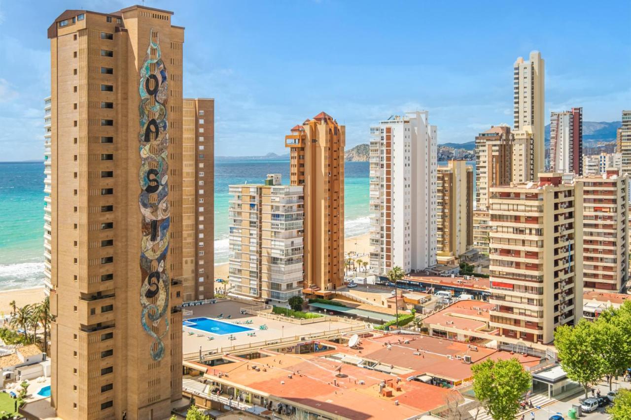 Apartment Albatros 18-8