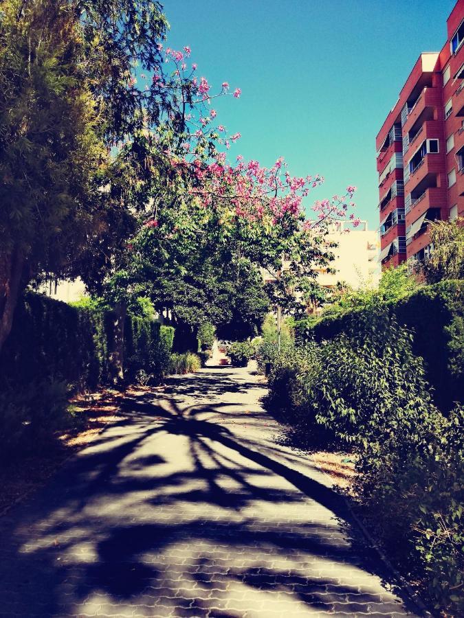 Casablanca Mediterranean Appartement *