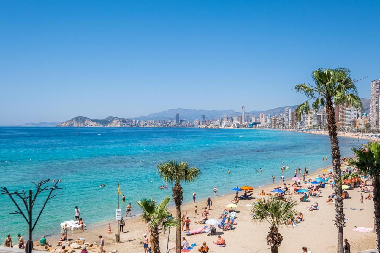 Don Miguel 2-a Levante Benidorm