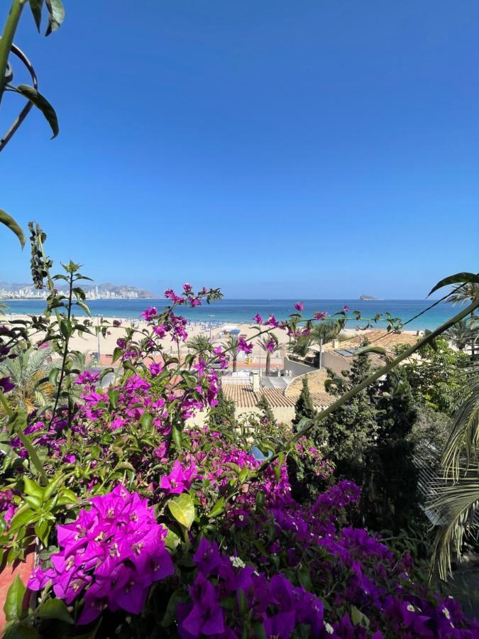 Bahia Benidorm