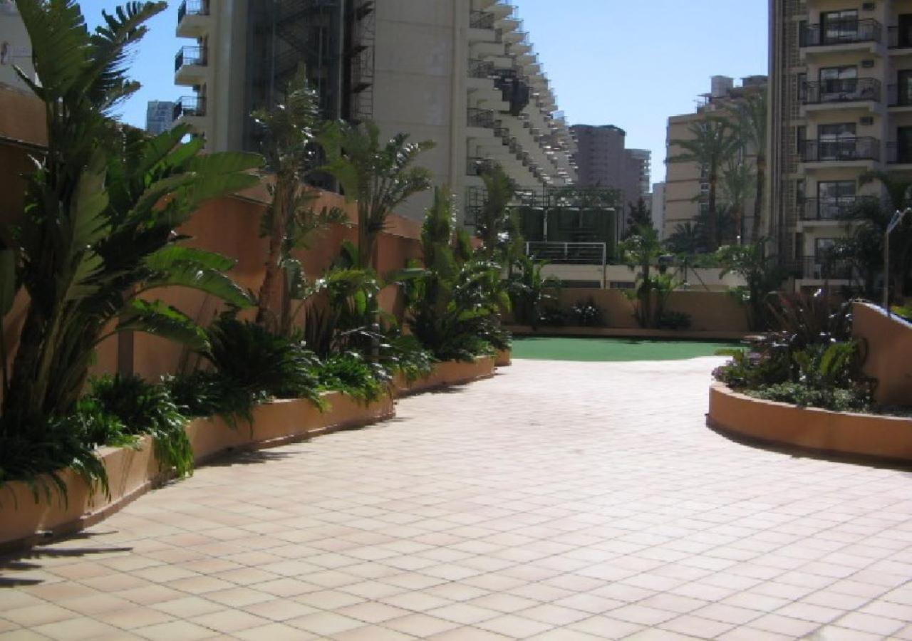Torremar -alquilevante Benidorm