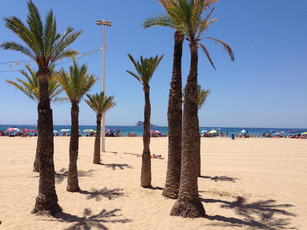 Apartment Torre Levante - Arca Rent