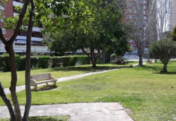 Apartment Sun *
