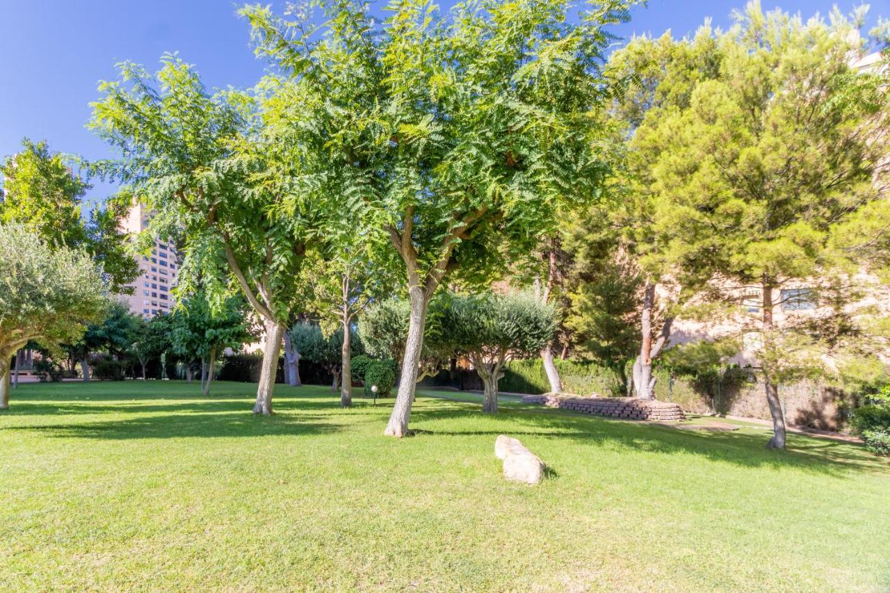Apartamento Marina Baixa Apartment Benidorm