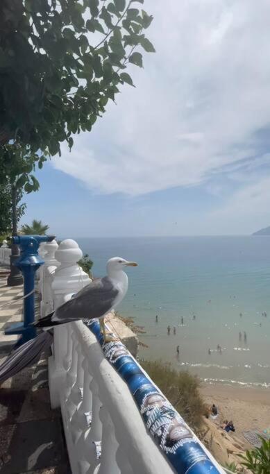 Appartement Apartamento Centrico Y En Primera Linea De Playa Benidorm
