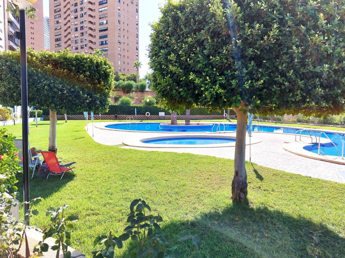 Luxury 3 Dormitorios Frente Al Mar En Marinas By Sonneil *