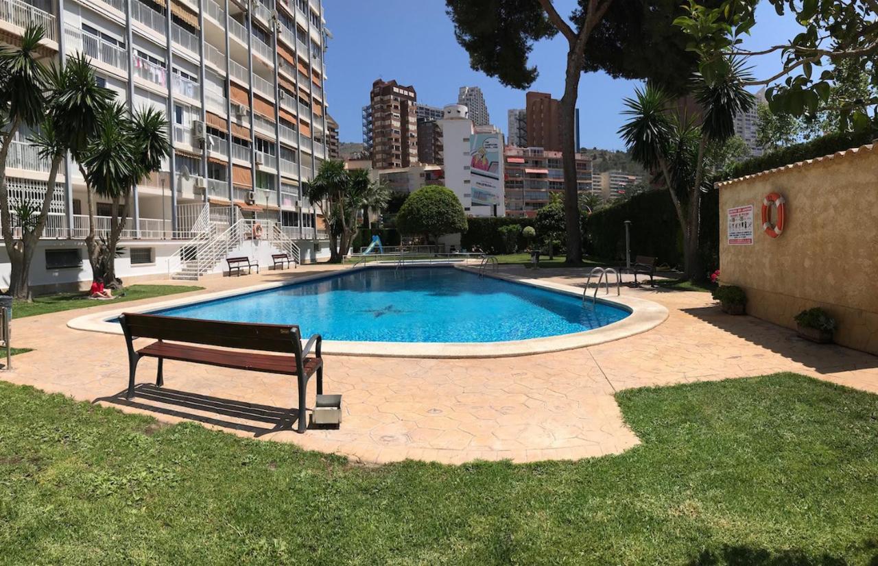 Albatros Apartment *