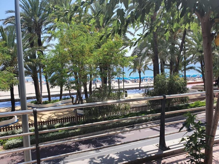 Appartement Primera Linea Playa *