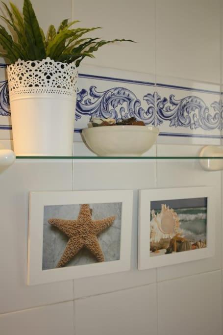 Apartment Seafront Location B3