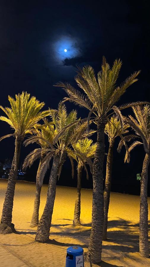 Solymar Levante Completo Con Piscina Y Parking Comunitario * Benidorm