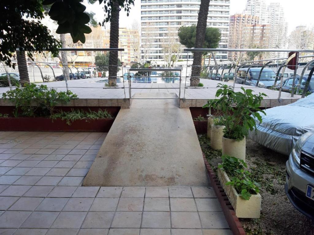 Damas 10 Benidorm