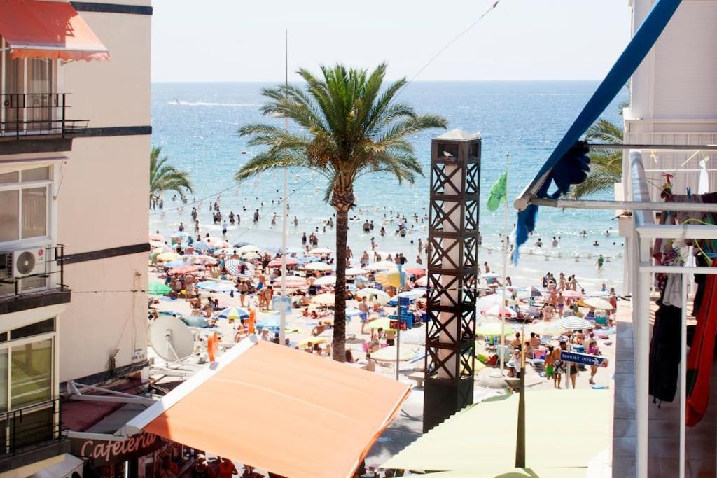 Seafront Unique Location B6 Benidorm