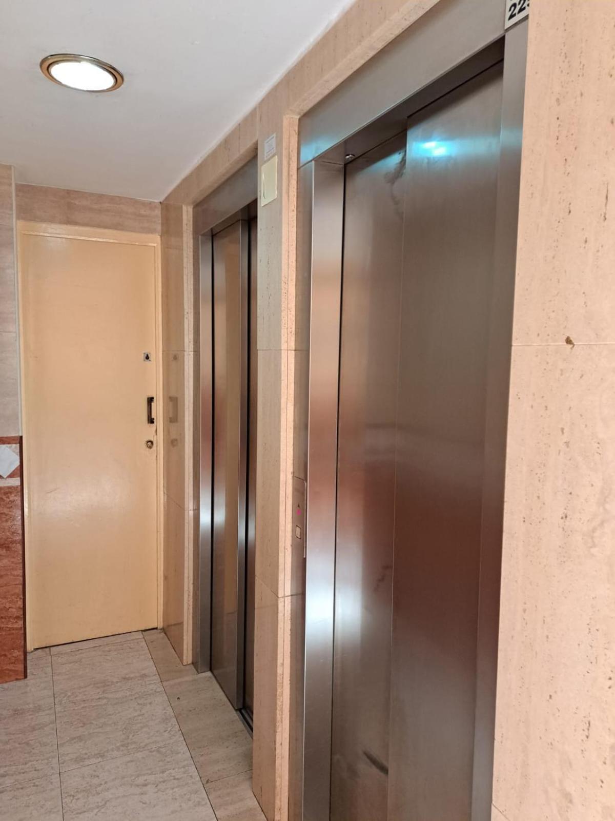 Provima Mallorca V
