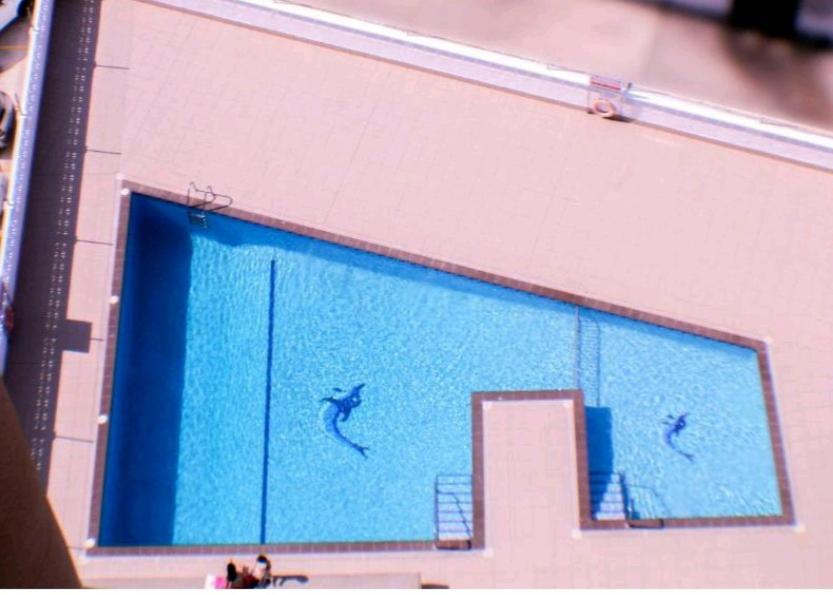 Apartamento Los Caballos Levante Beach Benidorm