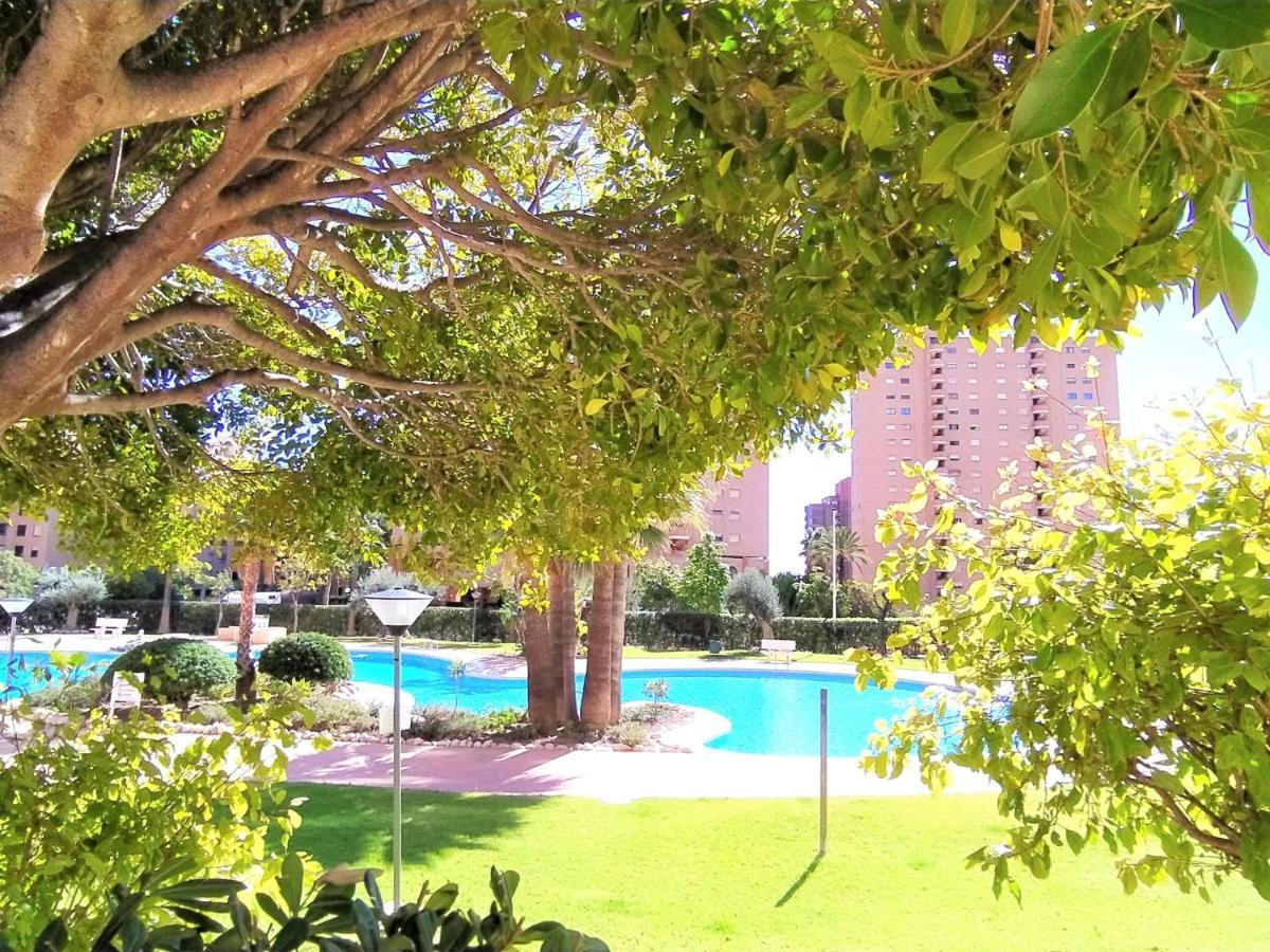 Apartment Coblanca-1 By Interhome Apartment Benidorm