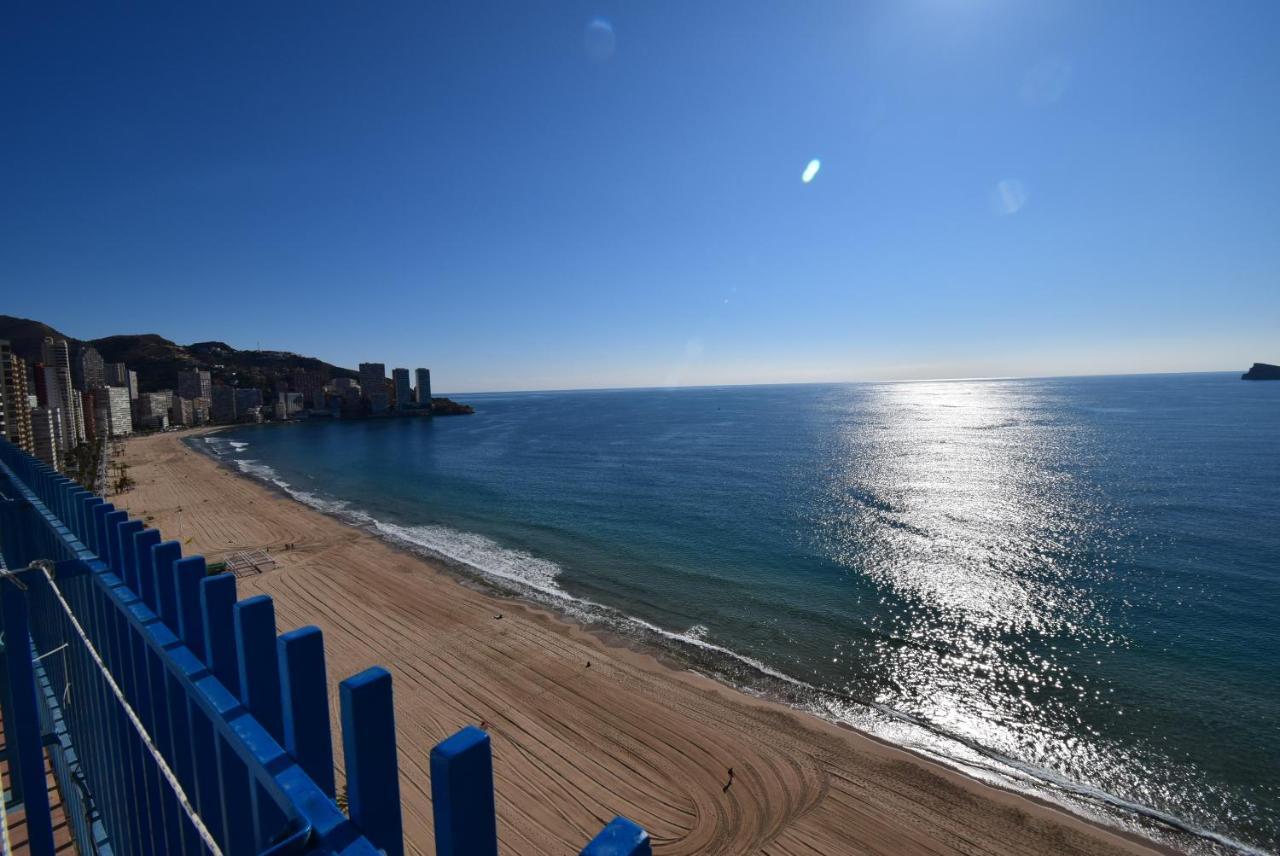 Palmeras - Arena Benidorm