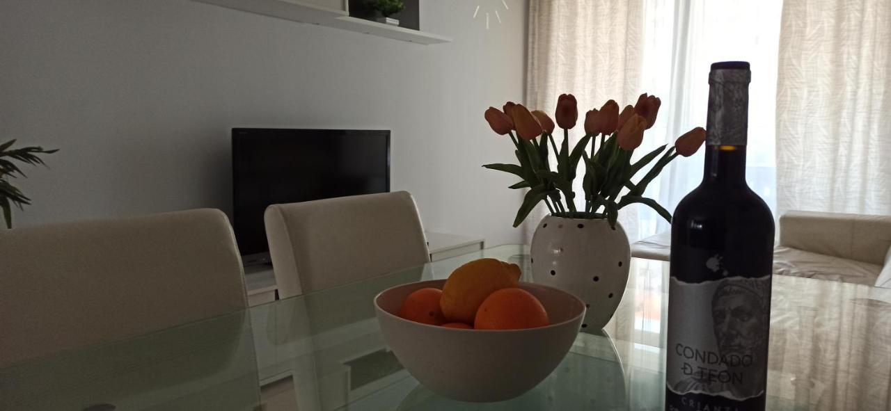 Apartment Rose In Bloom *